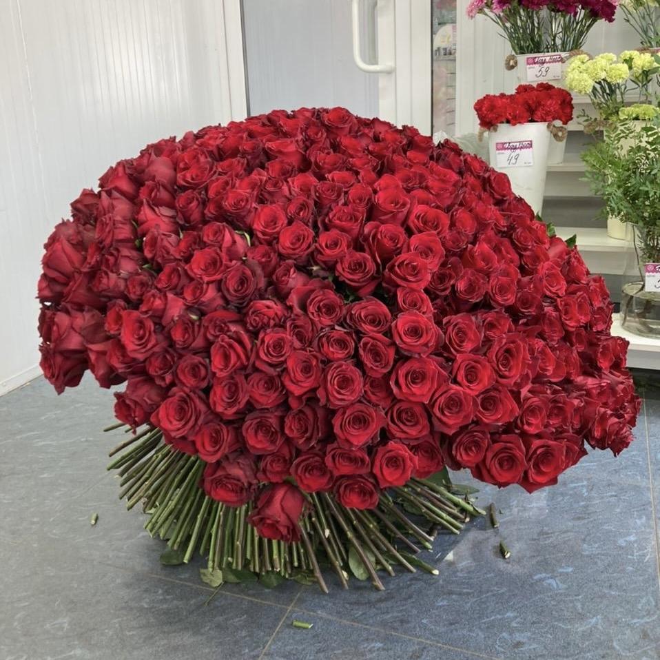 Букеты из красных роз 80 см (Эквадор) артикул: 190284