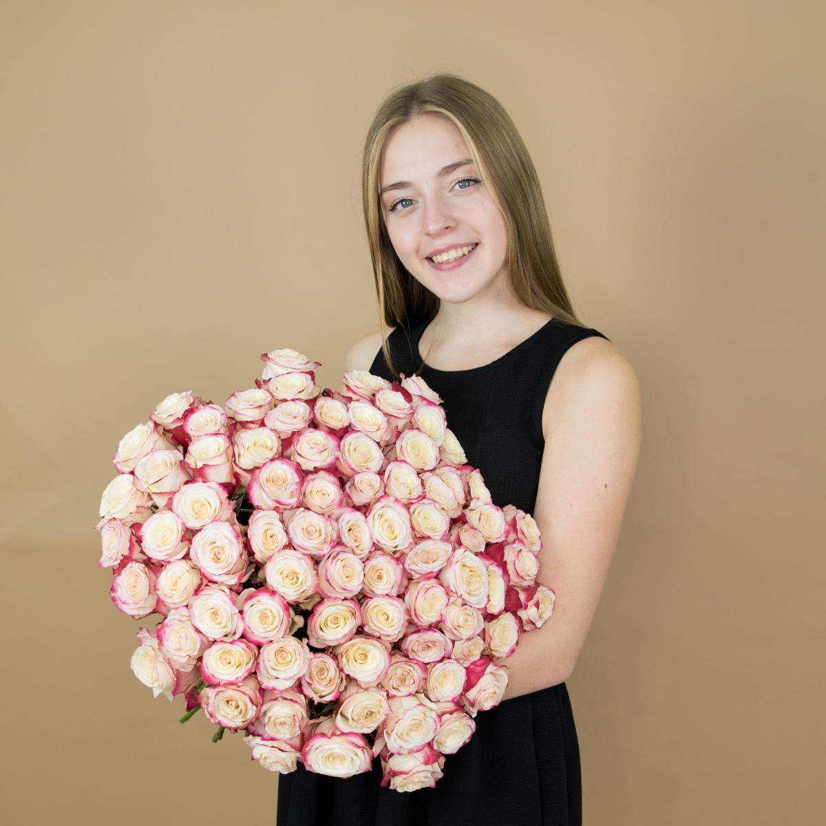 Розы красно-белые (40 см) Эквадор (№ - 471)
