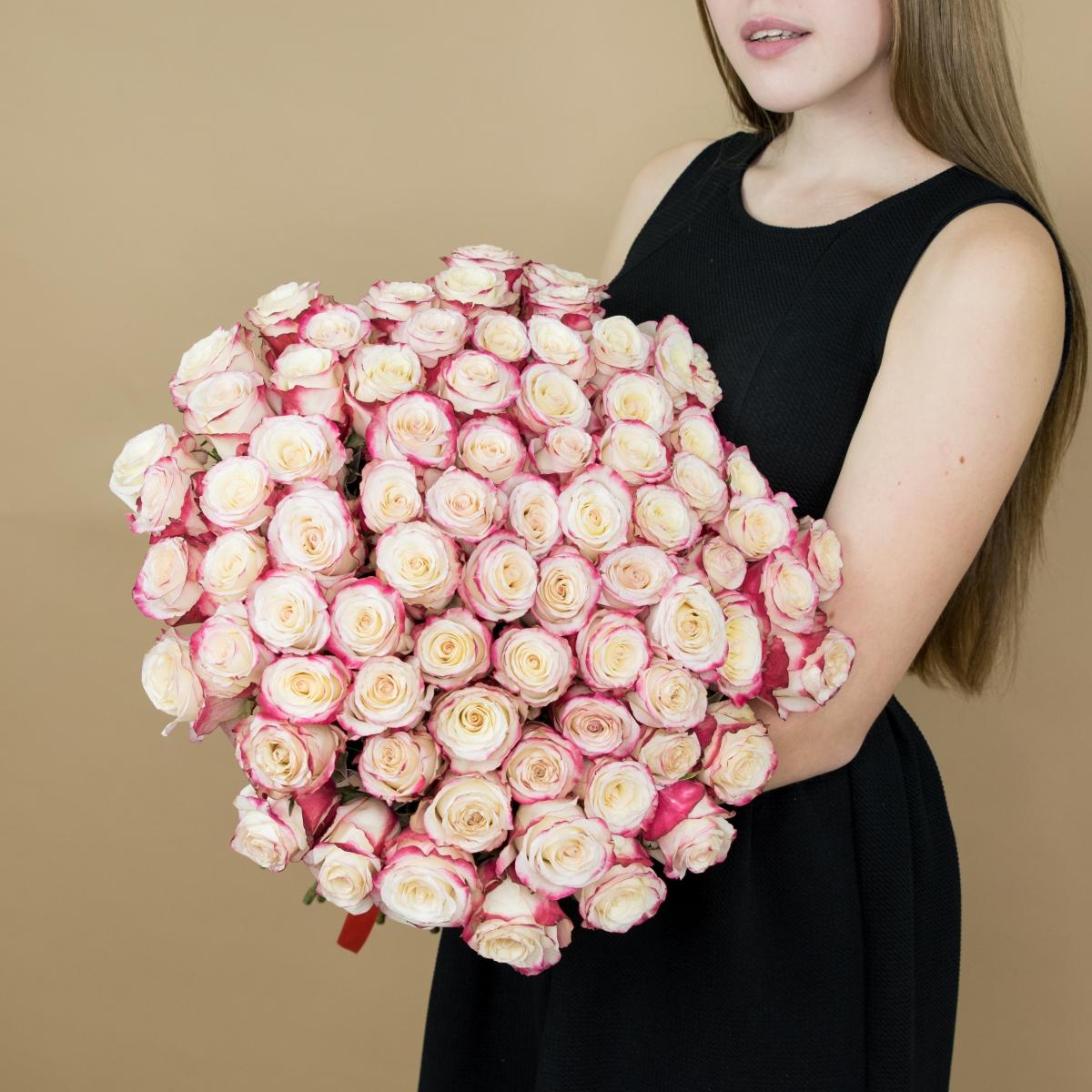 Розы красно-белые 101 шт. (40 см) (артикул  83838)